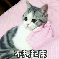 撒娇专用表情包 超喜欢惹 世界上最幸福的事，是