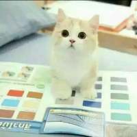 就让我只能看见那抹深