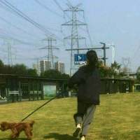 爱人如猫似狗 我能给足你面子,也能