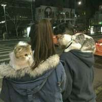 看着你的世界多了一个