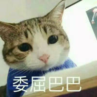 被人记着真好 她或许