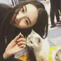 做我怀中的猫，温顺也傲娇 思念久了幻如梦，伪装