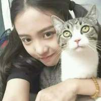 做我怀中的猫，温顺也傲娇 思念久了幻如梦，伪装