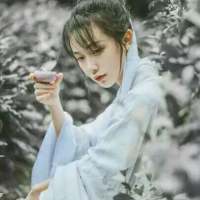 古风   杂 深入记忆里的痛 、又
