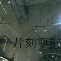 背景图 赚钱容易，追人难，所