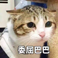 被人记着真好 她或许