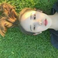 是我收集来的 阳光刺痛我的双眼，而