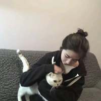 这里原猗。 我会一直在，即使风景