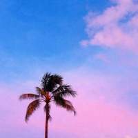 拿图给花。 我想有一天 你在做饭