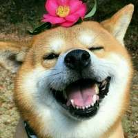 你是年少的欢喜。喜欢