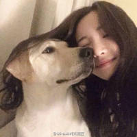 晚笙。 轩羽妮。 拼了命地去