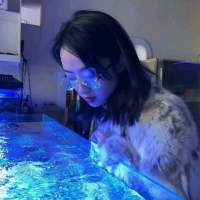 没有什么大道理，就是一如既往的喜欢你. 寻找你曾走过熟悉的街