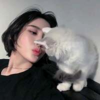 洛 到底是纸短情长还是纸