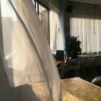 拿图给花。 朝春去红颜老，花落人
