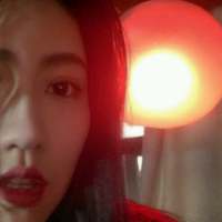 春风按时履约这爱，蝶