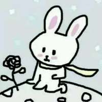 还有一部分在下一个图册 我的肩膀 除了自由