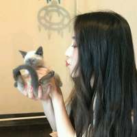 深情不及久伴 厚爱无需多言 乐观是失意后的坦然