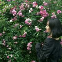 。 一生很短，少有圆满。