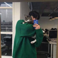 他喜欢猫也喜欢狗就是不喜欢你 值不值得我不懂，可是