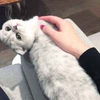 在我孤独无助难过的时
