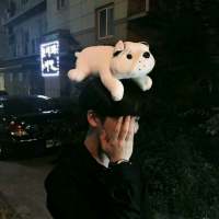 ylj 当黎明的曙色尚未到来