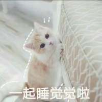 饮酒不过七分醉，念你