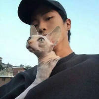他喜欢猫也喜欢狗就是不喜欢你 值不值得我不懂，可是