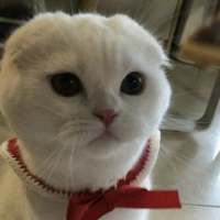you look better 不要过分信赖别人，即