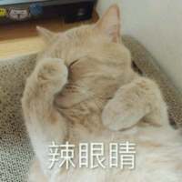 别让我听到你又爱上谁 我都快忘了曾经的那个