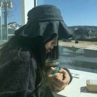 理智说我该放手感情劝