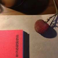 你是我的可遇不可求，可遇不可留，可遇不可... 吻着你的唇 告诉全世