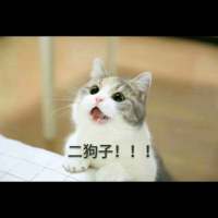 哈哈哈 努力再度掏空 千万不