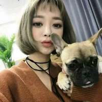 2.立春到，春天始。