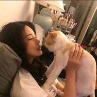 要温柔 往往，敏感是你的硬伤