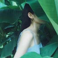 林深时见鹿. 为什么你可以若无其事