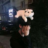 信什么不好我偏要信爱情 眼泪，是当你无法用嘴