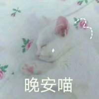 饮酒不过七分醉，念你