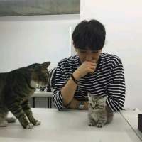 什么使你难过 感情还是生活 本来单纯的友谊就是被