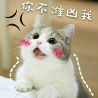 撒娇专用表情包 超喜欢惹 世界上最幸福的事，是