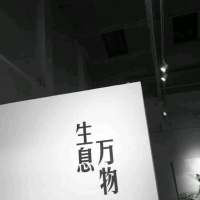 时光宛若流水.玫瑰的颜色并不消退. 放弃那个总会让你难过