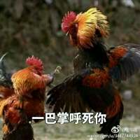 →_→ 家的窗口，月亮刚好挂