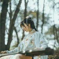 古风: 镜子里的人说假话 公子 若以身许于我