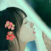 森林女生头像 你需要我的时候，我一