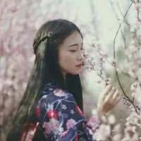 古风: 镜子里的人说假话 公子 若以身许于我