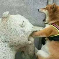 拿图给花。 我很想你 一天数不清