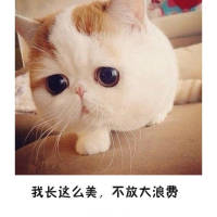脸大怎么了 哈哈 天空被豢养在这座城市