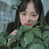有时候我总会听到飞鸟