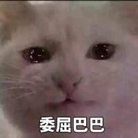 被人记着真好 她或许