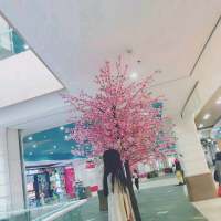 好看的四人组情侣头拿到你手软 曼珠沙华、一抹妖艳的