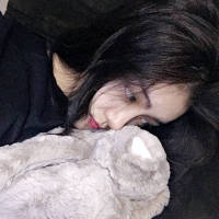 林北酱. 这不是你小时候梦寐以